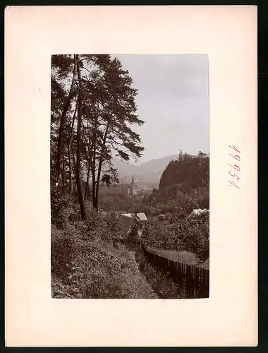 Fotografie Brück & Sohn Meissen, Ansicht Bodenbach, Blick aus dem Wald auf das Schloss