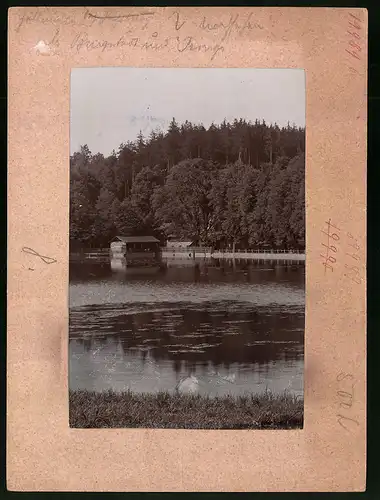 Fotografie Brück & Sohn Meissen, Ansicht Burgstädt i. Sa., Blick auf die Höllmühle, Rückseite mit Ansichtskarte