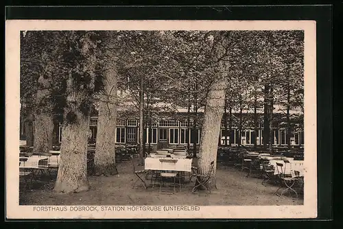 AK Höftgrube a. Unterelbe, Forsthaus Dobrock mit Waldterrassen