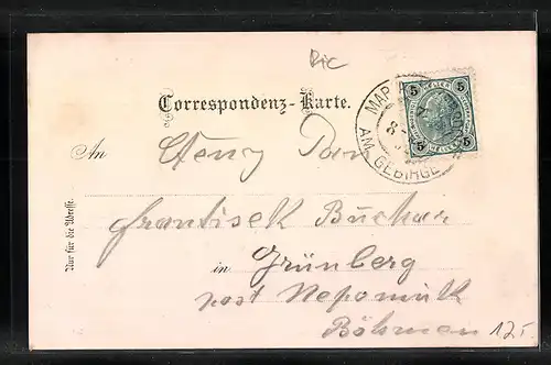 Lithographie Maria-Enzersdorf, Neues Schloss Liechtenstein, Teufelshöhe, Amphitheater