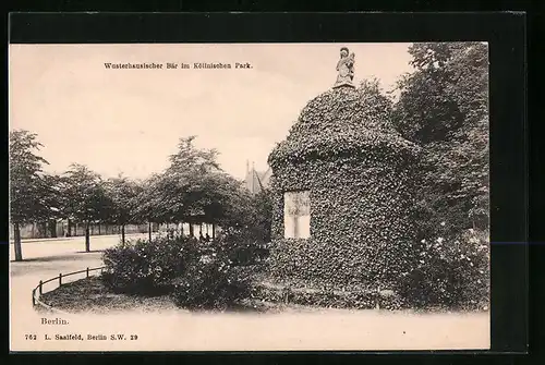 AK Berlin, Wusterhausischer Bär im Köllnischen Park