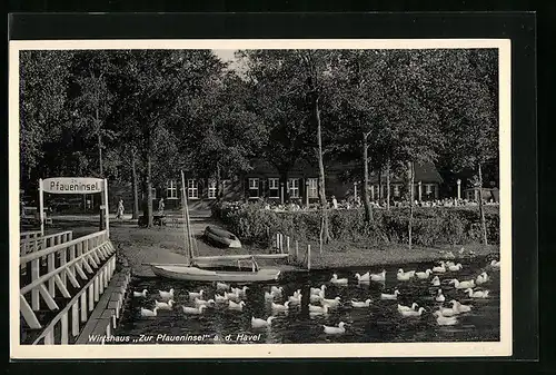 AK Berlin-Wannsee, Gasthaus Zur Pfaueninsel a. d. Havel mit Enten