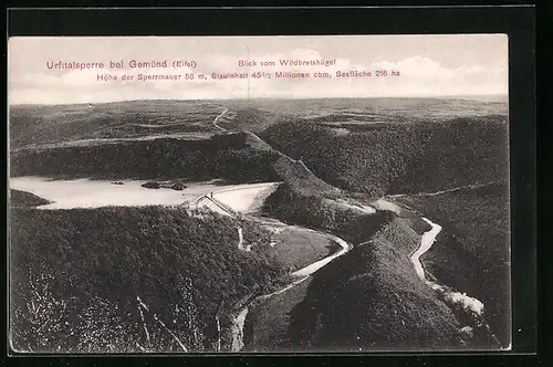 AK Gemünd i. Eifel, Urfttalsperre mit Blick vom Wildbretshügel