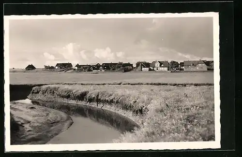 AK Norddorf b. Amrum, Ortsansicht mit Uferpartie