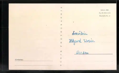 AK Weida i. Thür., Teilansicht