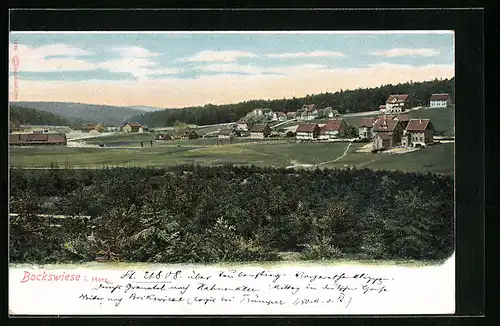 AK Bockswiese i. Harz, Teilansicht