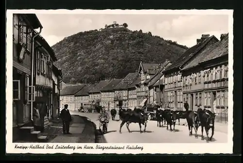AK Bad Lauterberg im Harz, Kneipp-Heilbad und Burgrestaurant Hausberg mit Rindern