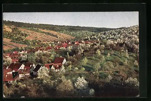 AK Strümpfelbach, Teilansicht bei Kirschenblüte
