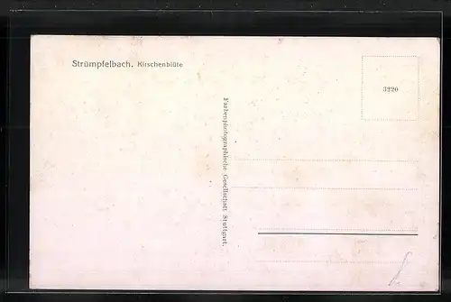 AK Strümpfelbach, Teilansicht bei Kirschenblüte