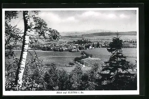 AK Elstra i. Sa., Blick auf den Ort mit Bäumen