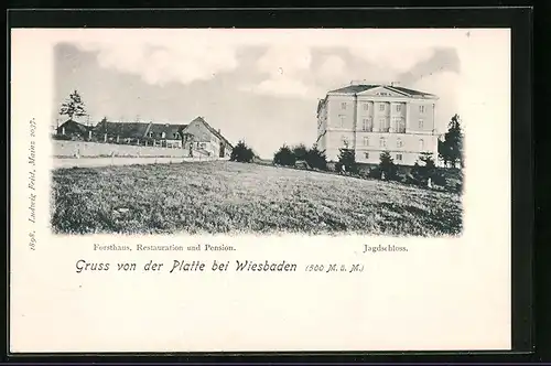 AK Wiesbaden, Platte, Forsthaus, Restaurant und Pension, Jagdschloss