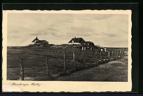 AK Hamburger Hallig, Ortspartie von der Wiese aus