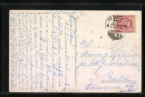 AK Meran, Totalansicht mit Kindern in tiroler Trachten