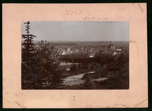 Fotografie Brück & Sohn Meissen, Ansicht Kamenz i. Sa., Blick auf die Stadt vom Hutberg aus gesehen