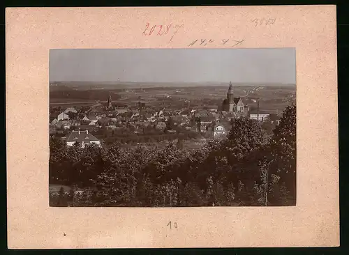 Fotografie Brück & Sohn Meissen, Ansicht Kamenz i. Sa., Blick auf die Stadt mit Kirche vom Hutberg aus gesehen