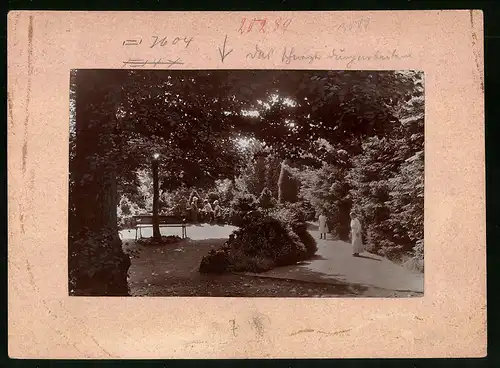 Fotografie Brück & Sohn Meissen, Ansicht Kamenz i. Sa., Damen und Kinder beim Spaziergang auf dem Hutberg