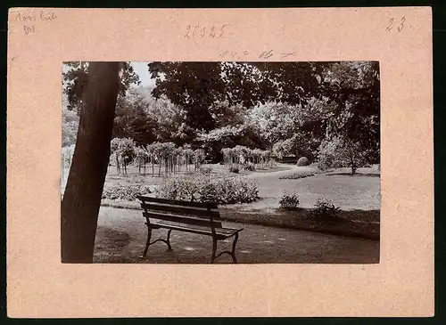Fotografie Brück & Sohn Meissen, Ansicht Grossenhain, Partie mit Bank im Stadtpark, Blick auf das Beet