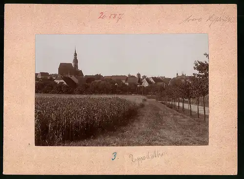 Fotografie Brück & Sohn Meissen, Ansicht Strehla, Blick vom Feld nach der Stadt mit Kirche