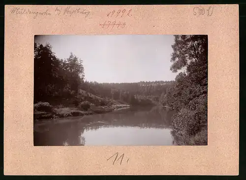 Fotografie Brück & Sohn Meissen, Ansicht Rochsburg, Blick auf die Mulde im Muldental