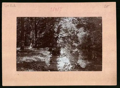 Fotografie Brück & Sohn Meissen, Ansicht Grossenhain, Wasserpartie im Stadtpark
