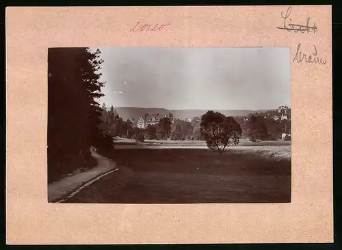 Fotografie Brück & Sohn Meissen, Ansicht Bad Elster, Blick aus dem Wald nach dem Palast-Hotel Wettiner Hof