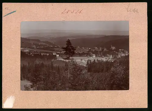 Fotografie Brück & Sohn Meissen, Ansicht Bad Elster, Blick vom Wald auf die Stadt