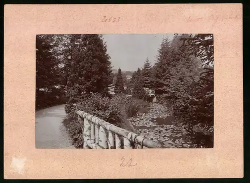Fotografie Brück & Sohn Meissen, Ansicht Bad Elster, Partie am Am Gondelteich mit Seerosenblättern