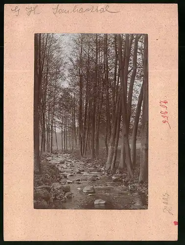 Fotografie Brück & Sohn Meissen, Ansicht Gauernitz, Partie im Saubachtal