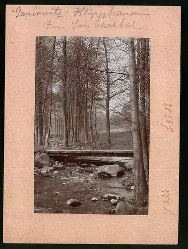 Fotografie Brück & Sohn Meissen, Ansicht Gauernitz, alter Holzsteg im Saubachtal