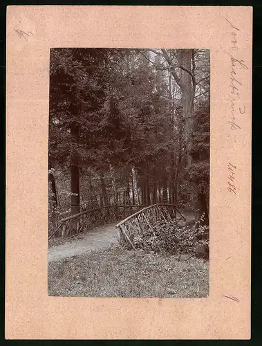 Fotografie Brück & Sohn Meissen, Ansicht Grossschweidnitz, Partie mit alter Holzbrücke im Park