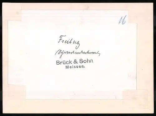 Fotografie Brück & Sohn Meissen, Ansicht Freiberg i. Sa., Partie am Schwedendenkmal