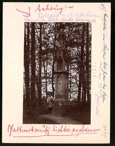 Fotografie Brück & Sohn Meissen, Ansicht Altzella, Partie an der Betsäule im Wald