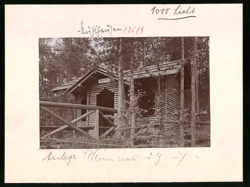 Fotografie Brück & Sohn Meissen, Ansicht Mühlhausen i. V., Partie an der Julius-Höhe im Heim-Walde des Genesungsheimes