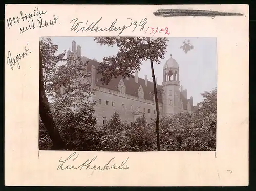 Fotografie Brück & Sohn Meissen, Ansicht Wittenberg / Elbe, Blick vom Wald auf das Lutherhaus