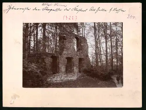 Fotografie Brück & Sohn Meissen, Ansicht Altzella, Partie im Wald an der Abteiruine, Rückseite mit Ansichtskarte