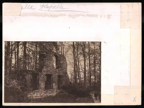 Fotografie Brück & Sohn Meissen, Ansicht Altzella, Partie im Wald an der Abteiruine, Rückseite mit Ansichtskarte