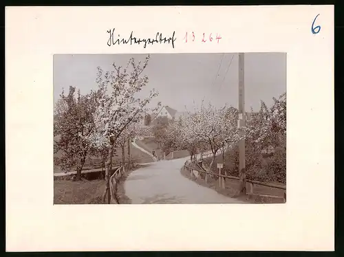 Fotografie Brück & Sohn Meissen, Ansicht Hintergersdorf, Partie im Ort während der Baumblüte