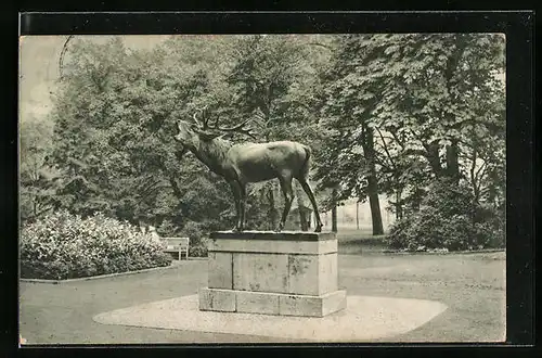 AK Düsseldorf, Hirsch am Hofgartenhaus