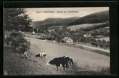 AK Bad Pyrmont, Partie bei Friedenstal