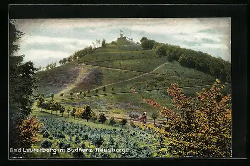 AK Bad Lauterberg /Harz, Burghotel auf dem Hausberge