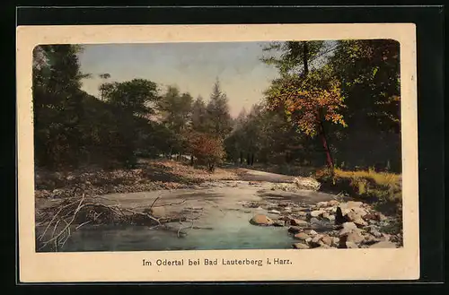 AK Bad Lauterberg /Harz, Partie im Odertal