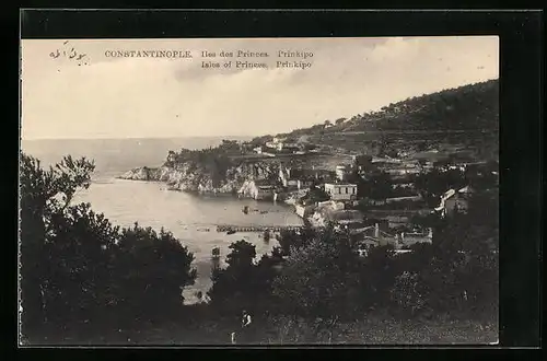 AK Constantinople, Iles des Princes, Prinkipo