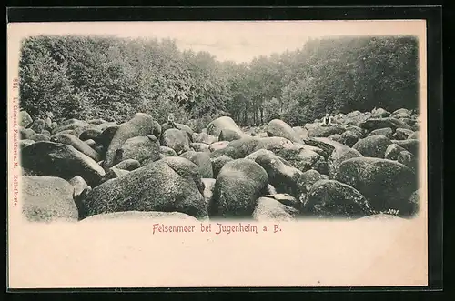 Relief-AK Jugenheim a. B., Kleine Besucher auf dem Felsenmeer