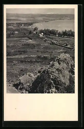 AK Migdal, Orange Groves