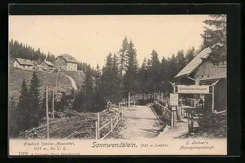 AK Sonnwendstein, Strassenpartie mit Friedrich Schüler-Alpenhotel und G. Lindner's Gasthof