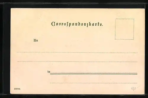 Lithographie Dürnstein /Donau, Gassenpartie mit Einwohnern und Federvieh