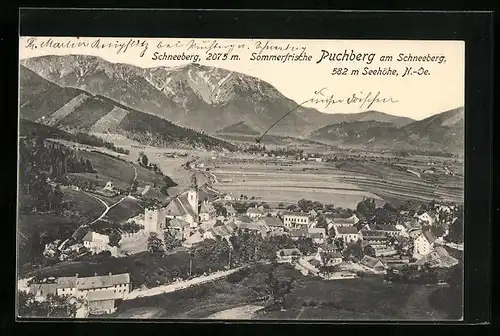 AK Puchberg am Schneeberg, Ortsansicht aus der Vogelschau