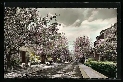 AK Berlin-Britz, Blick in die Onkel Bräsig Strasse