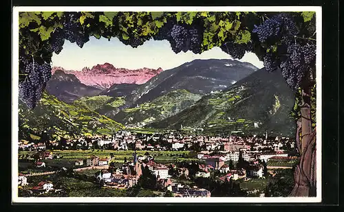 AK Bozen-Gries, Stadtansicht mit dem Rosengarten, Ausblick mit Weintrauben