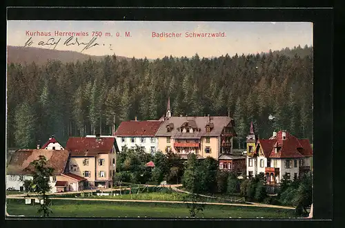 AK Herrenwies im Schwarzwald, Blick auf das Kurhaus am Waldrand